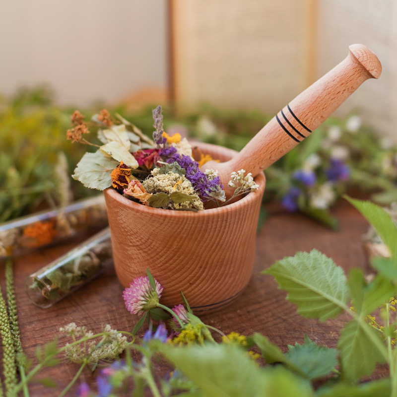 naturopathy services