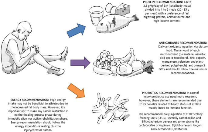 How Nutrition Impacts Injury Healing and Recovery?